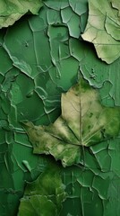 Wall Mural - Leaf pattern plant rough green.