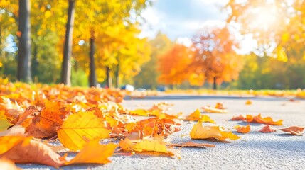 Wall Mural - Autumn Leaves Pathway, Golden Fall Season, Nature Background