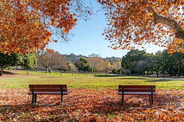 Poster - Two Benches Surrounded by Fallen Leaves in a Park Setting