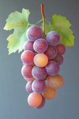 Wall Mural - Close-up of grapes