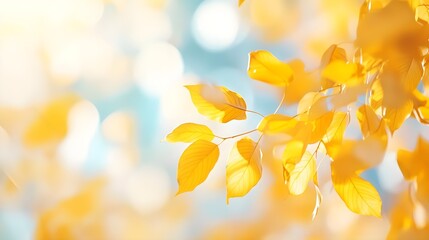 Canvas Print - Golden Autumn Leaves Branch Sunlight Bokeh Background