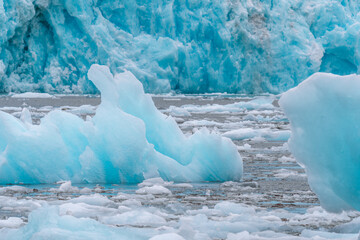 Wall Mural - Details of sawyer glacier at the head of Tracy Arm fjord in Alaska near Juneau during summer 