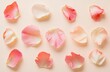 © BerkahStock - Pink Rose Petals on Beige Background