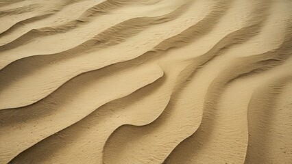 Wall Mural - A close-up view of desert sand dunes, with smooth, undulating ripples created by the wind.