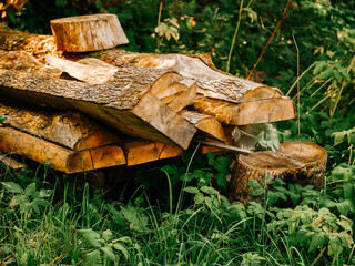 A pile of wood with some leaves on top of it. The wood is brown and has a natural look to it. Firewood stockpile for cold winter season. Natural material.