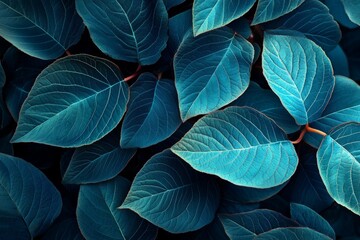 The leaves of a blue plant in nature in the fall season, on a blue background