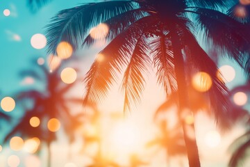 An orange light streaks across the summer sky. The sun is low. A silhouette of palm trees at sunset or sunrise. Summer beach and travel background. Blurred backdrop. Text space.