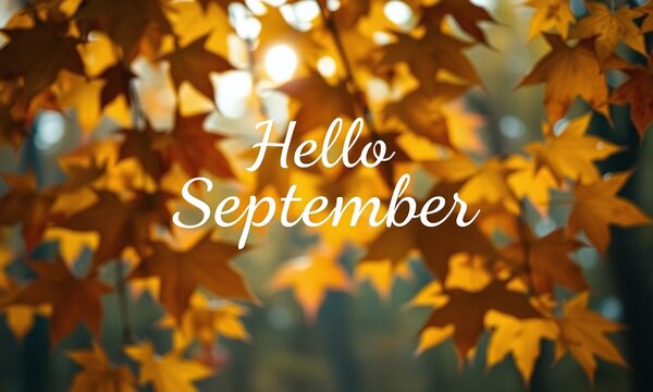 autumn leaves background, Hello September on blurred background