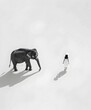 © AIGC JOE - A woman in a white dress stands facing a large elephant in a minimalist setting.