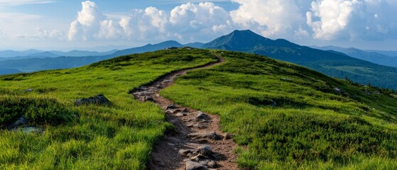 Poster -  A path ascending a grassy hill leads to a distant mountain against a backdrop of a blue sky dotted with white clouds