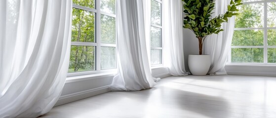 Poster -  A potted plant sits by a window in a white-draped room, windowsills adorned