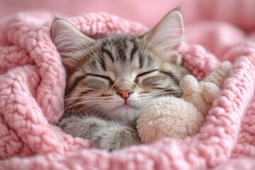 Poster - A kitten cuddled up in a wool blanket with a soft toy beside it, isolated on a pastel pink background,