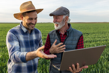 Canvas Print - Farmers looking at laptop in green wheat field and smiling