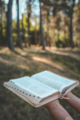 Wall Mural - Christian illustration of a girl holding an open Bible against a forest backdrop