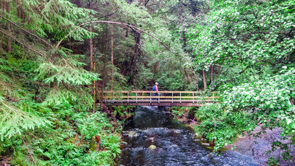 Traveler woman with backpack hiking, hiker crosses wooden bridge in forest trail in Ardennes, Belgium