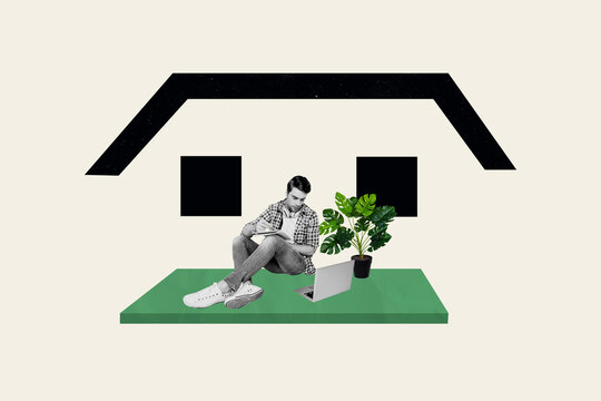 Creative collage picture young man learn student preparation college university computer digital device indoors home houseplant decoration