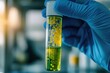 © FACTORY GRAPHICA  - Close-up of hands of scientist wearing blue gloves holding a test tube containing microorganisms