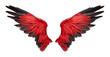 © Png - Video - Photo - vibrant red and black bird wings fully spread Element Transparent PNG