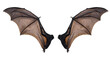 © Png - Video - Photo - Detailed close-up image of bat wings spread open on a white background, showcasing intricate veins and textures.