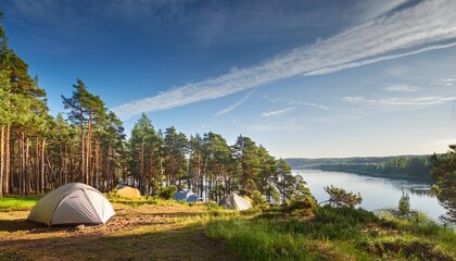 Wall Mural - campsite in a pine forest by the volga river on a sunny day