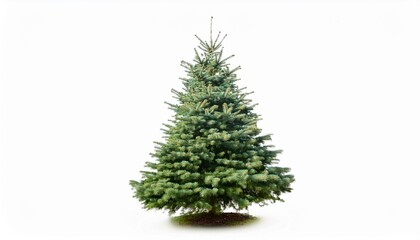 christmas tree isolated on white background