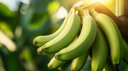 Aufkleber - A bunch of green bananas on tree : Generative AI