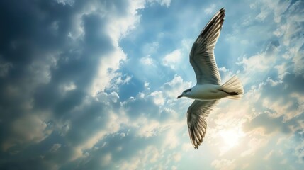 Wall Mural - Seagull Soaring Through the Sky