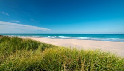 Wall Mural - picturesque beach with clear blue sky and lush green grass under the horizon