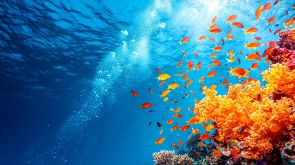 Wall Mural - Vibrant underwater scene featuring colorful coral reefs and schools of fish swimming in crystal clear waters.