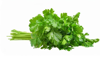 Wall Mural - a bunch of fresh green parsley is piled on top of a white background transparent background