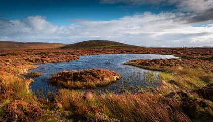 Wall Mural - irish peat bog landscape