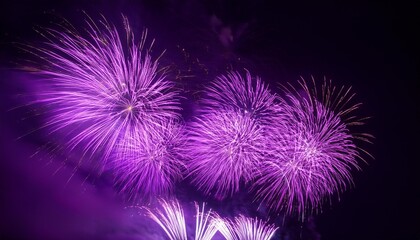 Canvas Print - purple fireworks light up the sky marking the new year and national holidays like the 4th of july the vibrant violet fireworks create a dazzling display counting down to the start of a new chapter