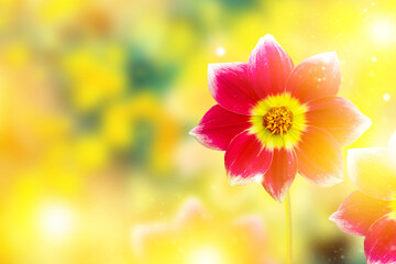 Wall Mural - colorful dahlia flowers on a background of the autumn landscape