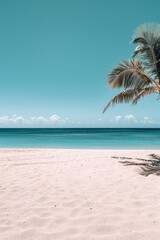 Canvas Print - Palm tree on a beach