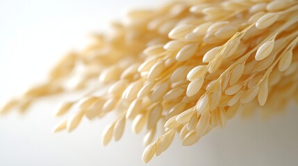 Poster - Rice isolated on white background clipping path full depth of field : Generative AI