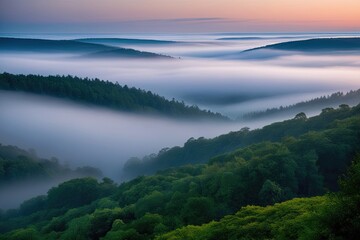 Wall Mural - Serene Foggy Forest Valley at Dawn Showcasing Stunning Natural Beauty