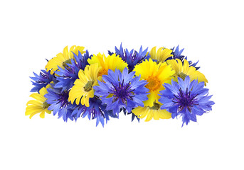 Poster - Beautiful wreath of meadow flowers on white background