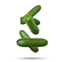 Wall Mural - Whole ripe cucumbers falling on white background