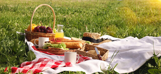 Canvas Print - Picnic blanket with wicker basket, snacks and juice and on green grass during sunny day. Banner design with space for text