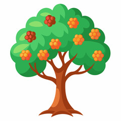 Lichi tree vector illustration isolated 