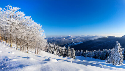 Winter landscape with frosty trees and a mountain view on a clear beautiful day