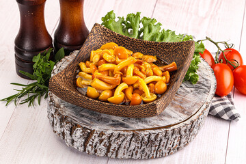 Marinated honey mushroom in the bowl