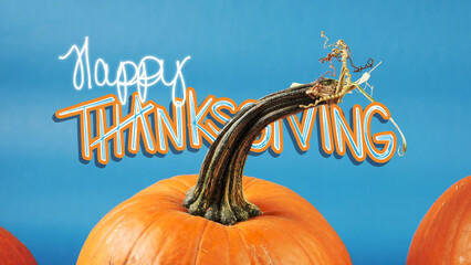 Sticker - Happy Thanksgiving background with handwritten greeting on vibrant blue backdrop with bright orange pumpkins for fall season.