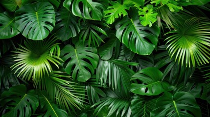  Beautiful green tropical leaves background, vibrant foliage, jungle depth. Perfect for nature concept, wallpapers, and eco themes.