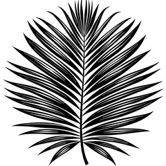 Canvas Print - Palm Leaf Silhouette Vector art