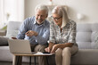 © fizkes - Smiling mature couple sit on sofa make budget analysis, use calculator and laptop, discuss expenses and incomes, checks bill amounts and savings, review monthly payments, counting money feel satisfied