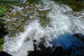 Wall Mural - Natural river water flowing through greenery