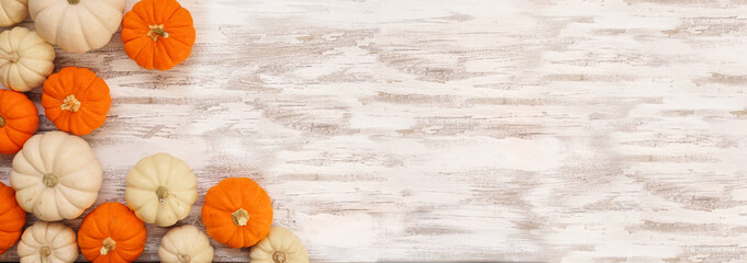 Poster - Autumn corner border of orange and white pumpkins on a rustic white wood banner background. Top down view with copy space.