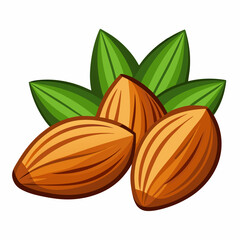 Wall Mural - Almonds on White Background - Vector Art Illustration