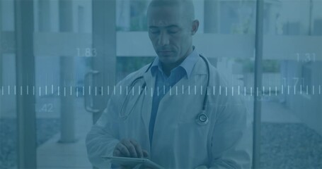 Wall Mural - Doctor using tablet, medical data analysis animation over hospital background